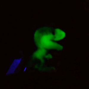 Green Dinosaur Toy