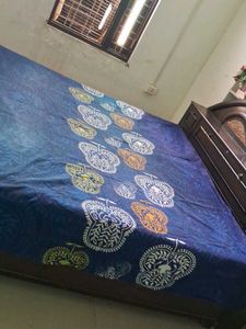 pure cottonBlue Paisley Queen Bed Sheet of 1