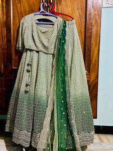 Pastel Shaded Green  Designer Lehenga