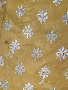 Beautiful Saree (Women's)