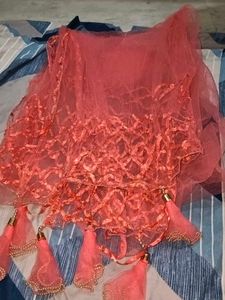 Orange Net Embellished Lehenga Choli