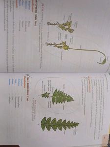 Biology Lab Book Class 11CBSE