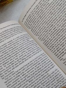 THE DISCIPLINED TRADER