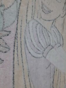 Disney Princess Blanket