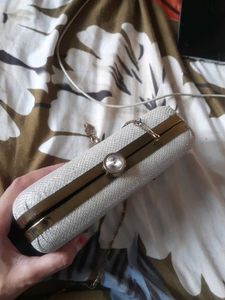 Sparkling Silver Evening Clutch