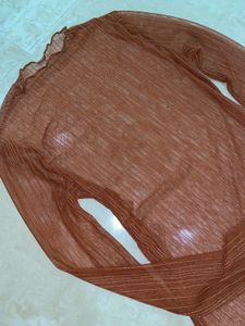 Sheer Mesh Long Sleeve Top
