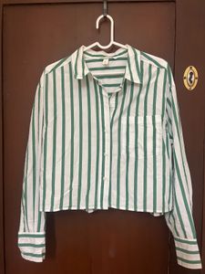 Green Striped Button-Up Shirt