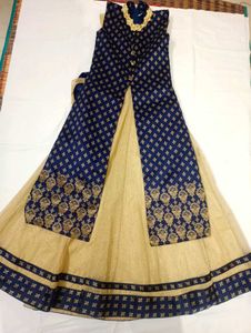 Elegant Lehenga Choli Set