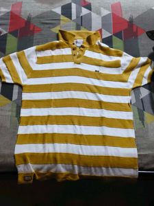 Striped Men's Polo Shirt