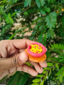 Miniature Food Display Set