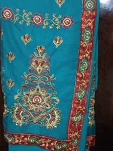 Net and Georgette half-n-half