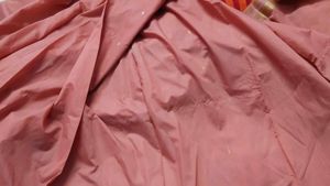 Elegant Pink Saree with Gold Border