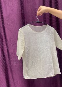 Pleated Sheer Sleeve Top