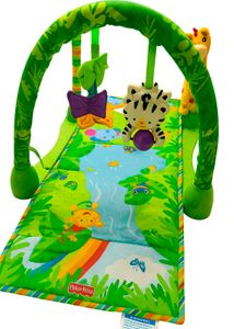 Fisher-Price Rainforest Gym