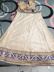 Elegant Cream Lehenga Choli Set