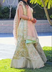 Pretty Pastel Embroidered Lehenga set