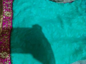 Elegant Embroidered Saree