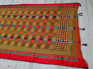 🇳🇿💫💗 Multicolour Elegant Checked Saree