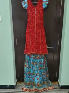 Beautiful Embroidered Sky Blue Skirt