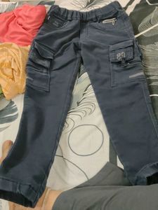 Stylish Blue Cargo Pants