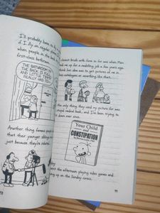 Dairy Of A Wimpy Kid 3 Books