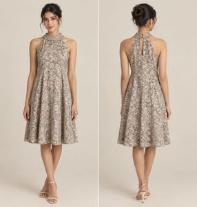 Elegant velvet Halter Neck Dress