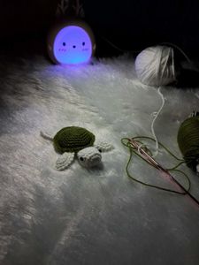 Crochet Turtle.
