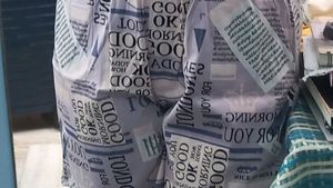 Typography Shorts