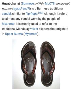 Stylish Brown Flip-Flops Burmese