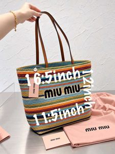 Miu Mi Handbags