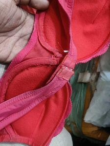 dubble padded phusup bra