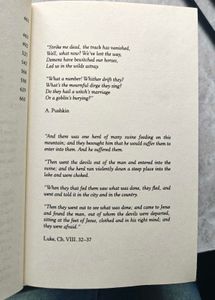 The Devils by Fyodor Dostoevsky