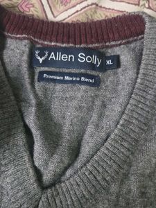 Allen Solly Merino Blend Sweater