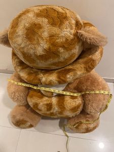 Life Size Teddy Bear
