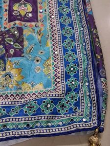 Beautifully Printed Saree with Mirror Work