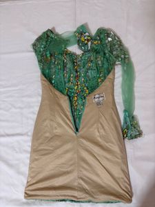 Stunning Embellished Green Gown