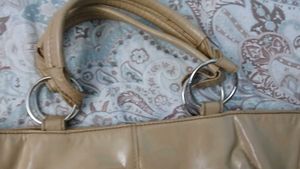 Chic Beige Hobo Aldo Bag