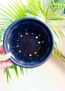 5 Black Nursery Planters