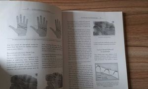 Book - Love In The Palm Of Your Hand FREE DELIVERY