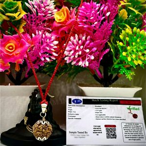 Sath mukhi Rudraksh