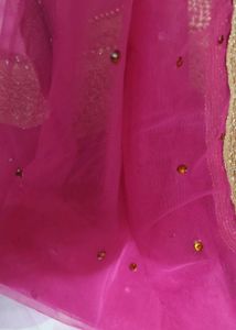 Pink Embellished Dupatta