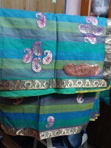 Striped Sari with Paisley Details