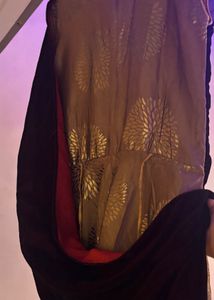 Elegant Ethnic Gown