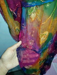 Vibrant Floral Sequin Saree heavy net work