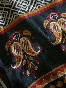 Elegant Traditional Saree