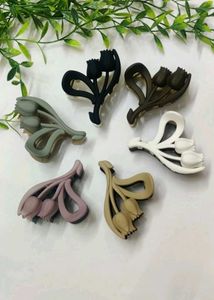 Hair accessories combo of 10 clips