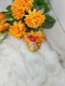 Ganpati Devachi Murti