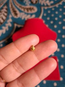 Exquisite Gold nosepin