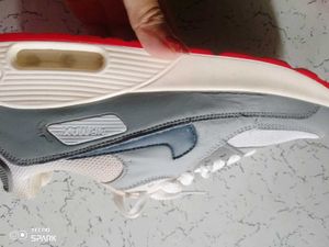 Nike Air Max Sneakers
