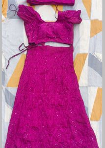 Designer Lehenga Choli Set